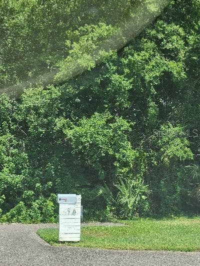 SALVIA STREET NEW PORT RICHEY, FL 34652