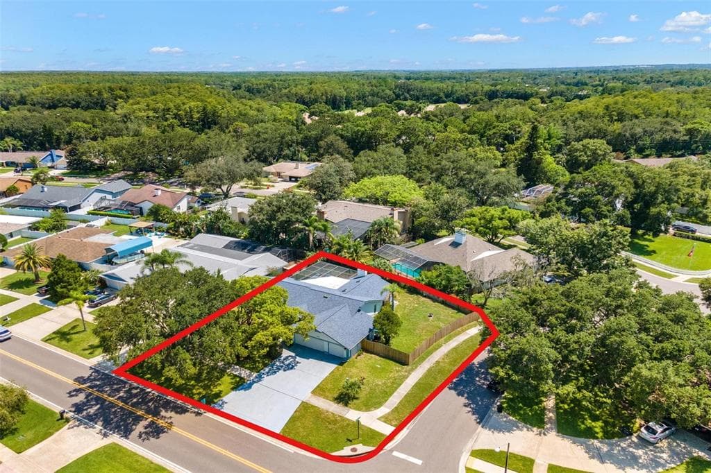 3378 TARPON WOODS BOULEVARD PALM HARBOR, FL 34685