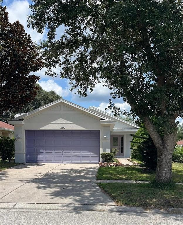 11584 HAMMOCKS GLADE DRIVE RIVERVIEW, FL 33569