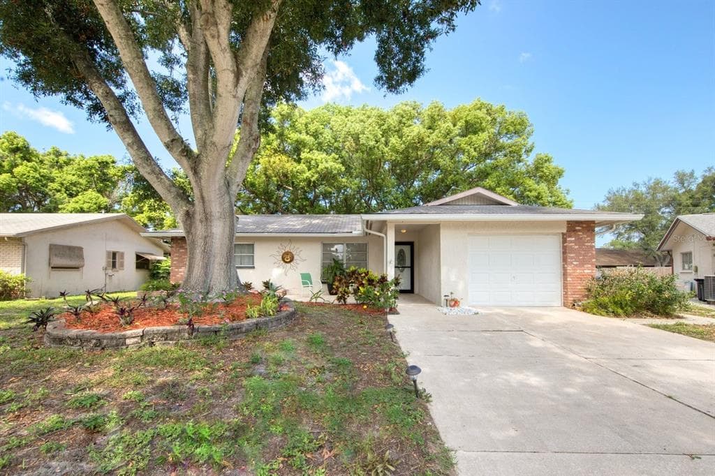 142 STAFFORD CIRCLE PALM HARBOR, FL 34684