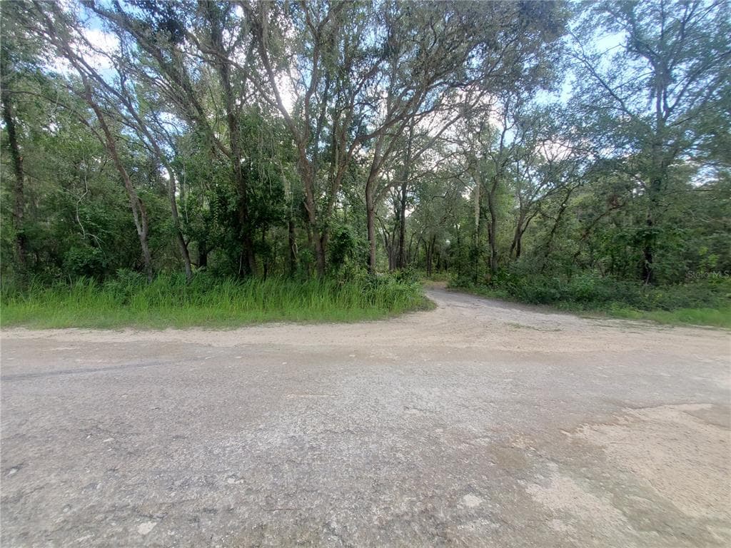 BERRYHILL DRIVE WEBSTER, FL 33597