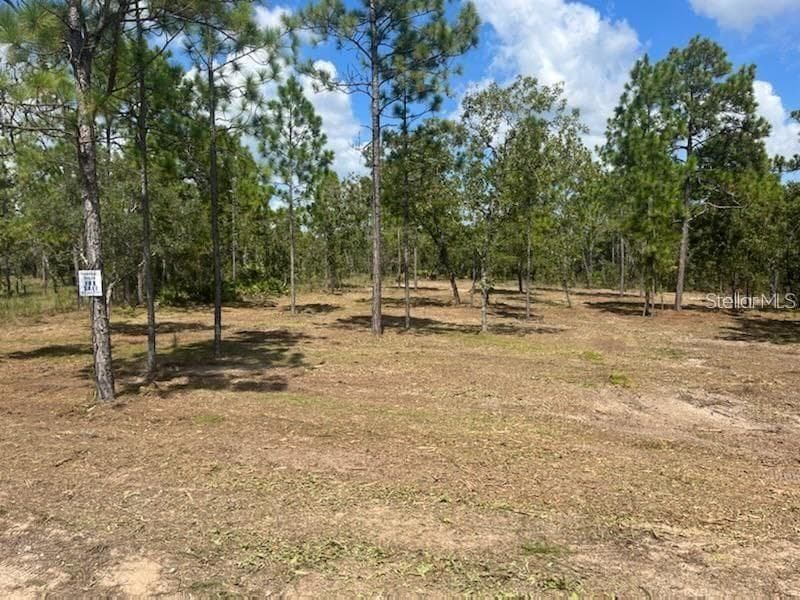 16344 PENN STATE ROAD WEEKI WACHEE, FL 34614