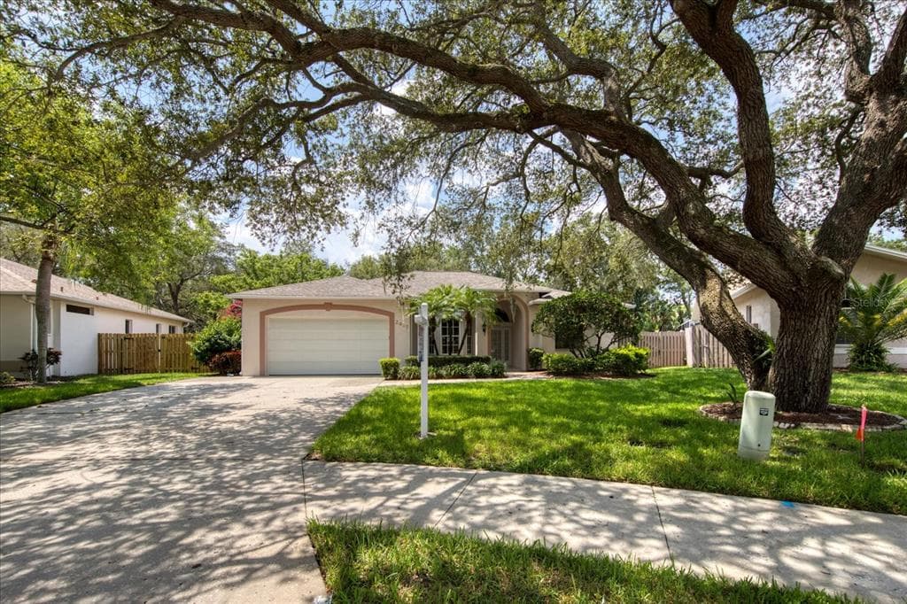 2417 DANA DRIVE SAFETY HARBOR, FL 34695