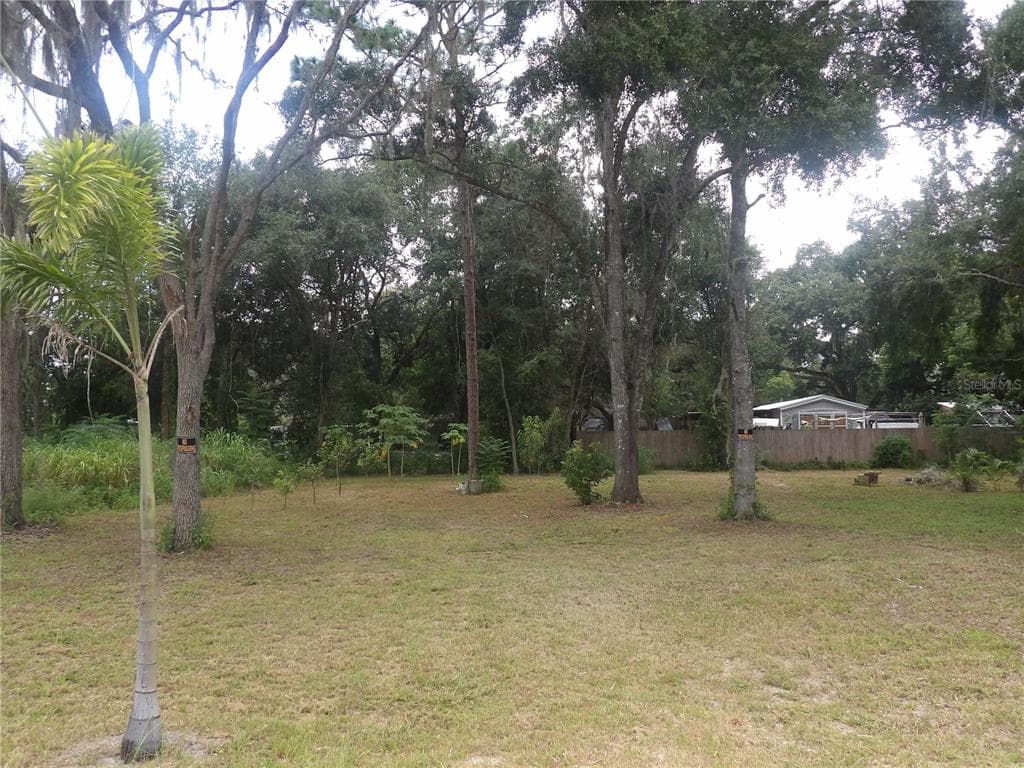 9573 FERN STREET NEW PORT RICHEY, FL 34654