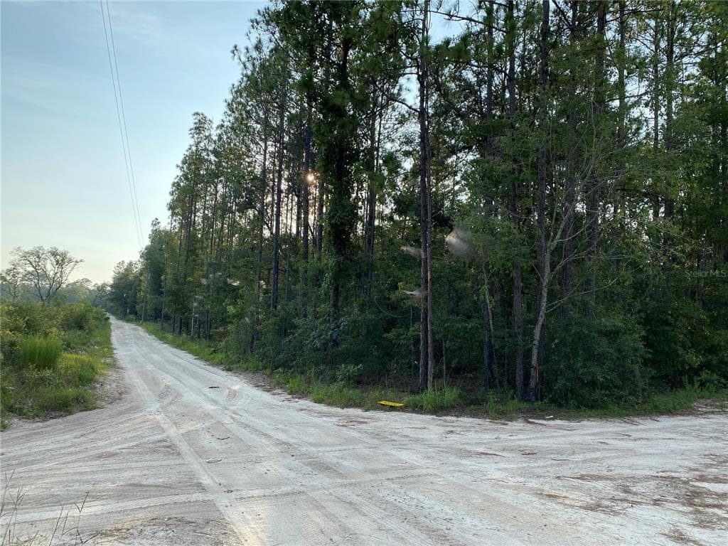 TBD NE 110TH AVE. BRONSON, FL 32621
