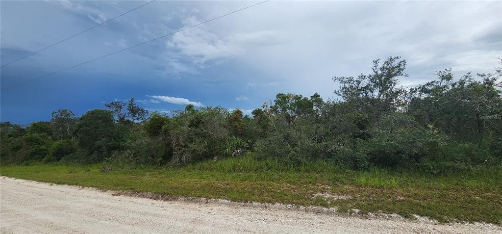 217 CUMBERLAND STREET LAKE PLACID, FL 33852