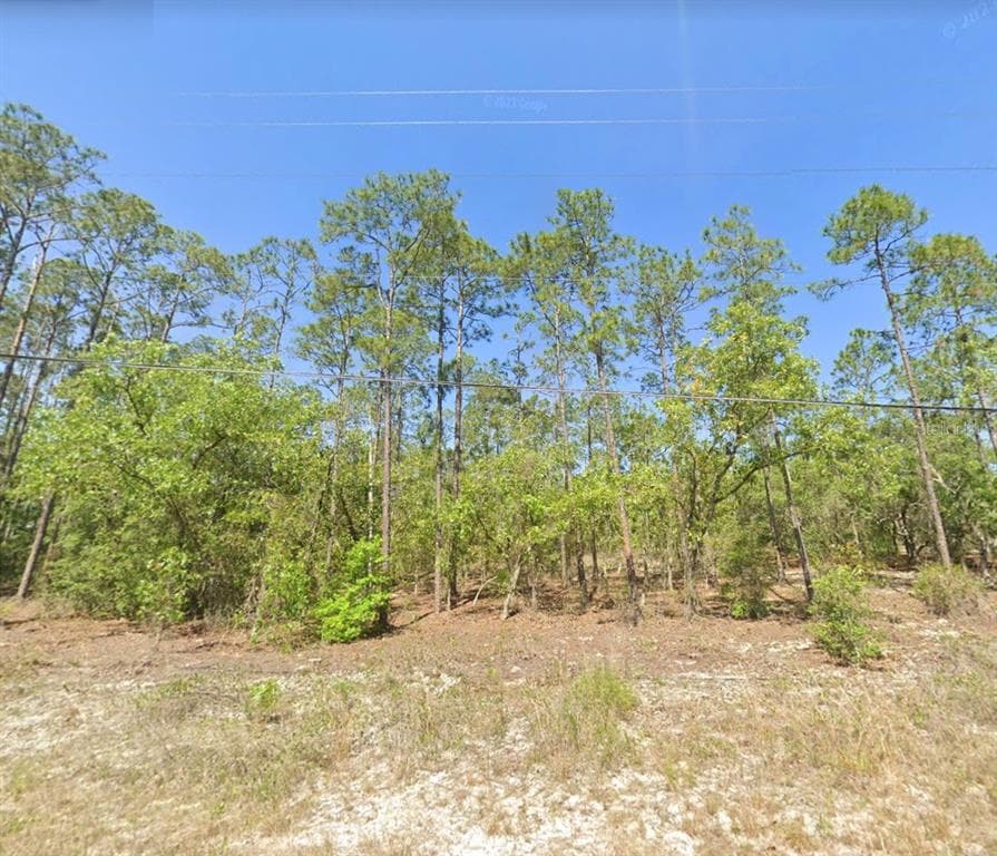 UNDETERMINED DUNNELLON, FL 34431
