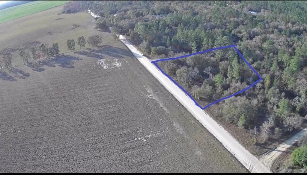 NE 123 TERRACE WILLISTON, FL 32696