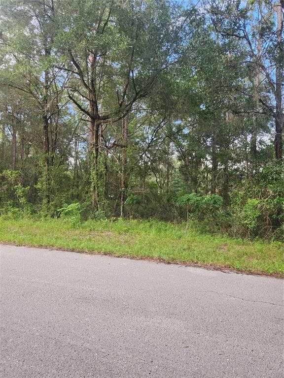 787 N CHARLES AVENUE INVERNESS, FL 34453