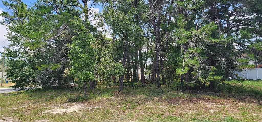 12187 RONALD STREET SPRING HILL, FL 34609