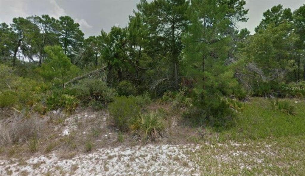112 DOMINICA AVENUE NE LAKE PLACID, FL 33852