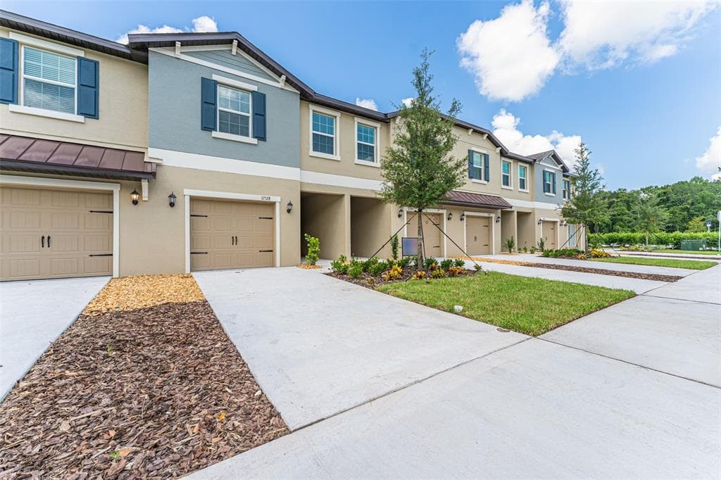 17528 NECTAR FLUME DRIVE LAND O LAKES, FL 34638