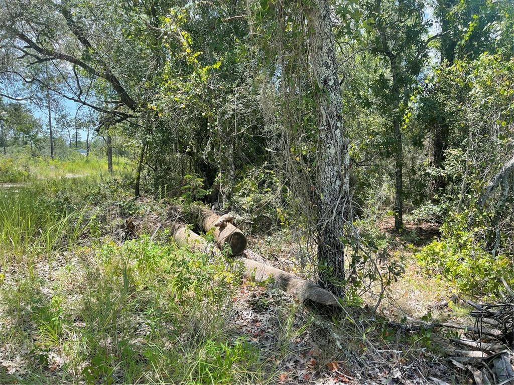 14451 TRINITY ROAD BROOKSVILLE, FL 34614