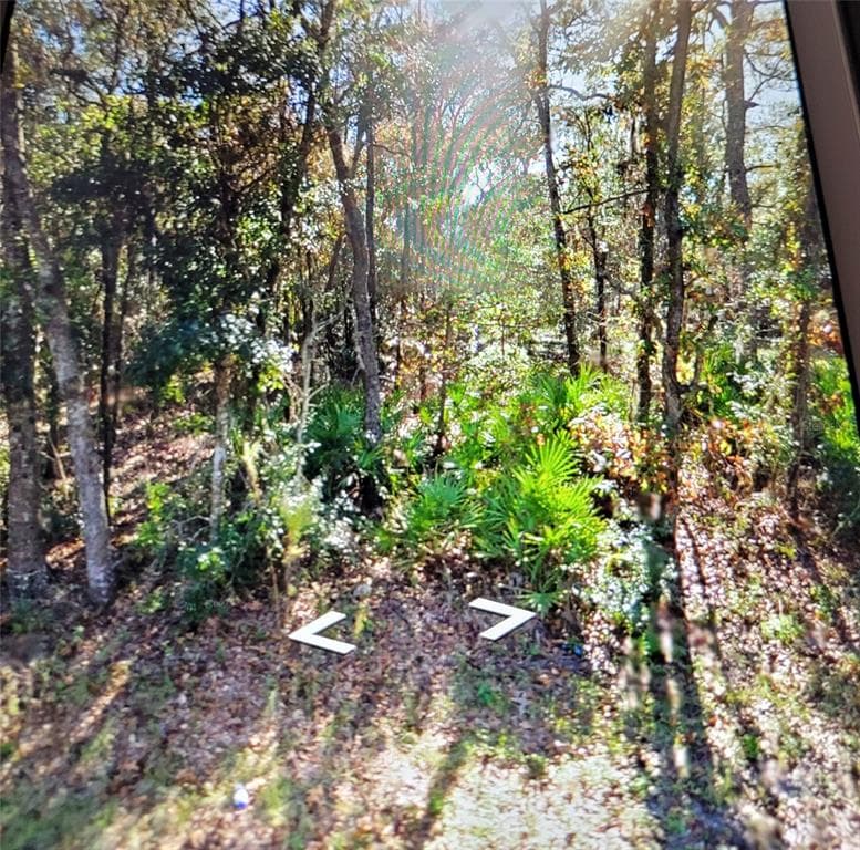 6874 W VAN BUREN DRIVE