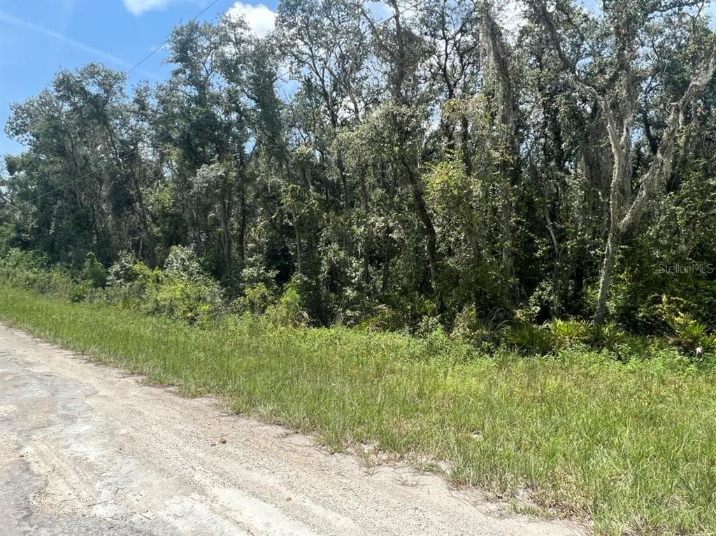 33069 SMALLMAN STREET WEBSTER, FL 33597