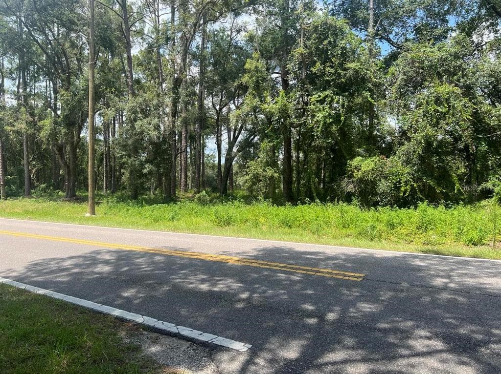 Lot #16 RICHARDSON BOULEVARD WEBSTER, FL 33597