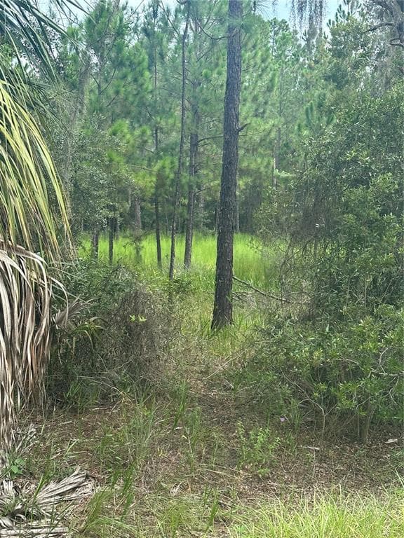 11001 W DUBLIN STREET CRYSTAL RIVER, FL 34428