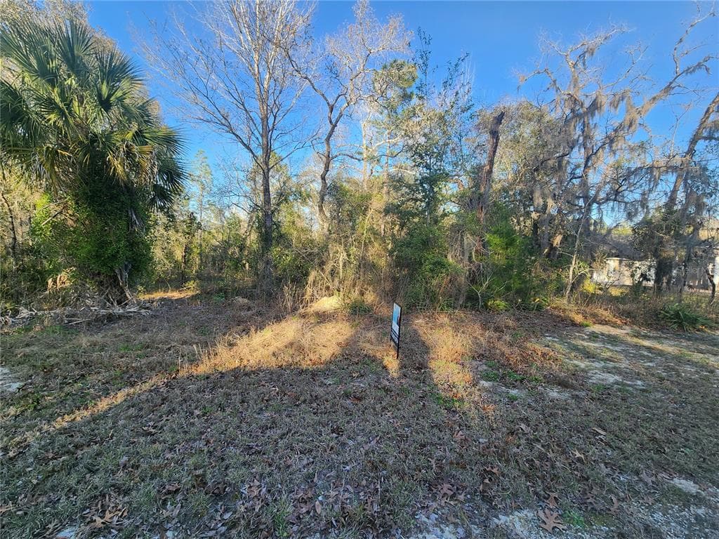 14228 ERMINE OWL ROAD WEEKI WACHEE, FL 34614