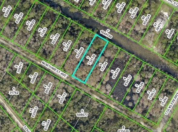 NORTHWEST AVENUE WEBSTER, FL 33597