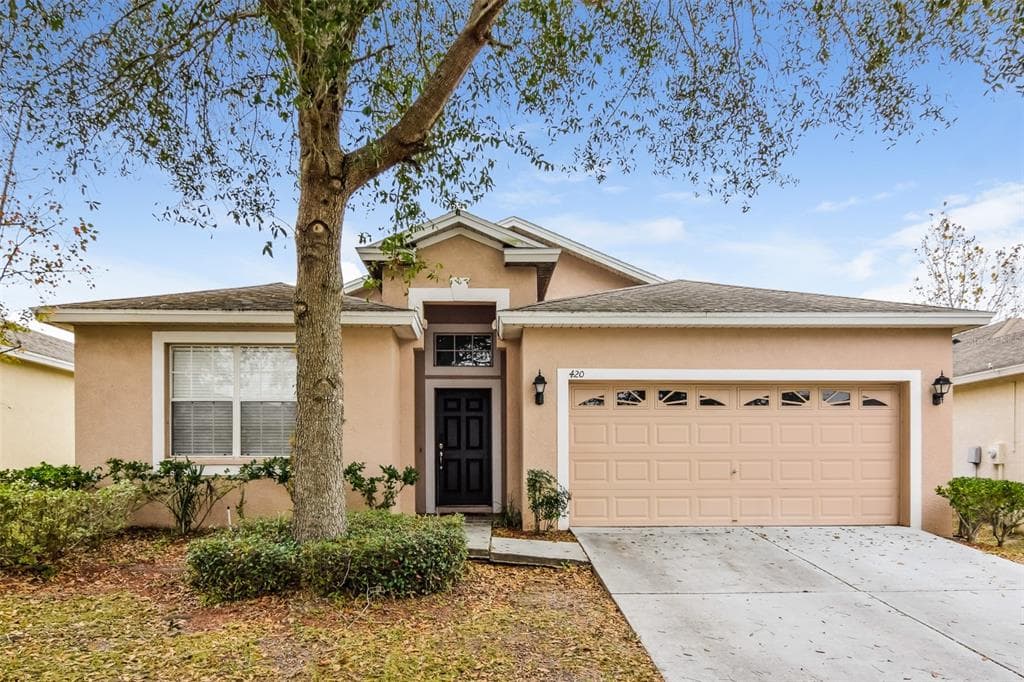 420 FERN GULLEY DRIVE SEFFNER, FL 33584