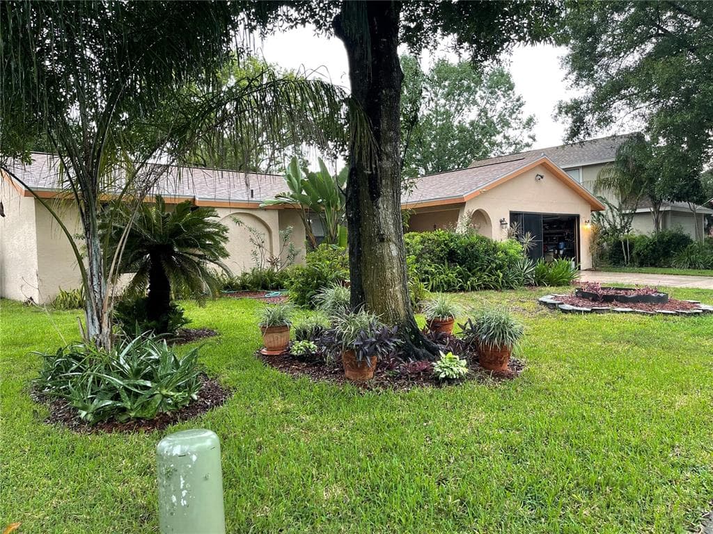 10328 TURKEY OAK DRIVE NEW PORT RICHEY, FL 34654