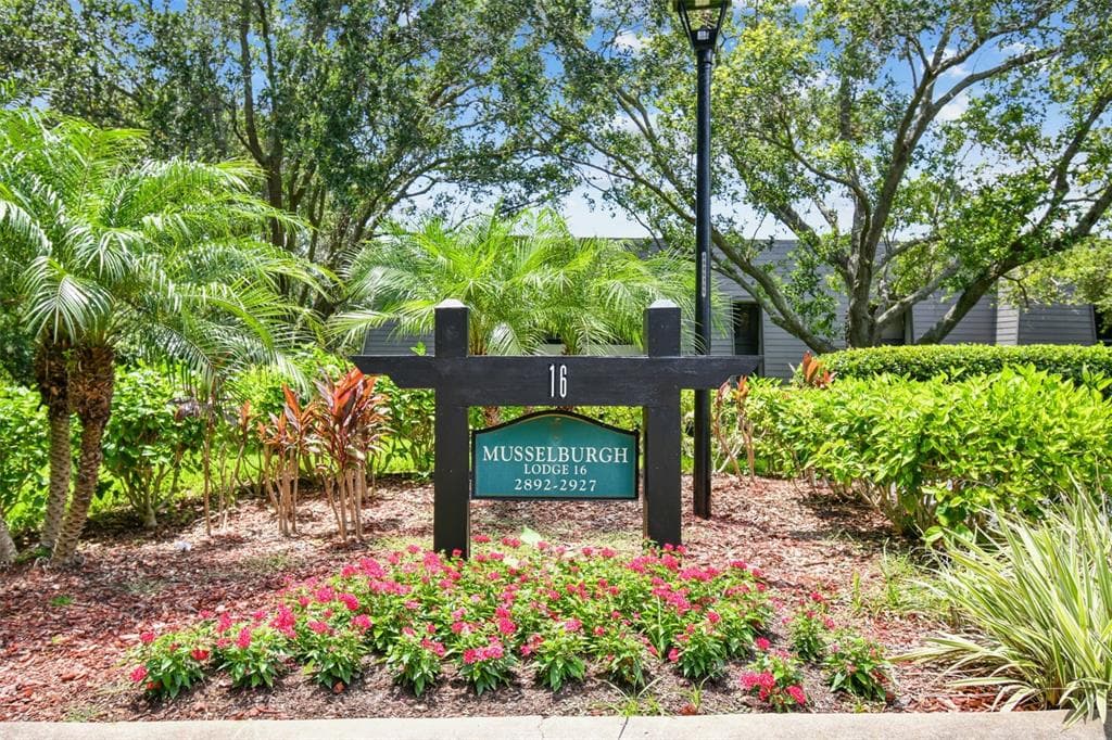 36750 US HIGHWAY 19 N UNIT 16204 PALM HARBOR, FL 34684