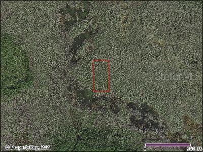HOLOPAW GROVES ROAD SAINT CLOUD, FL 34773