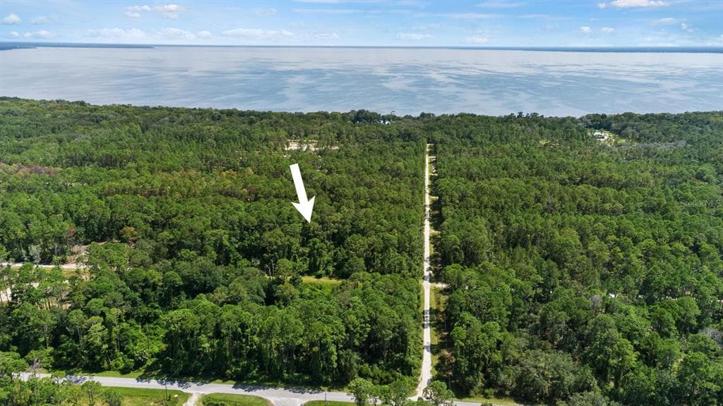 207 HAZEL AVENUE GEORGETOWN, FL 32139