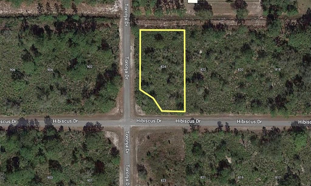 824 HIBISCUS DRIVE INDIAN LAKE ESTATES, FL 33855