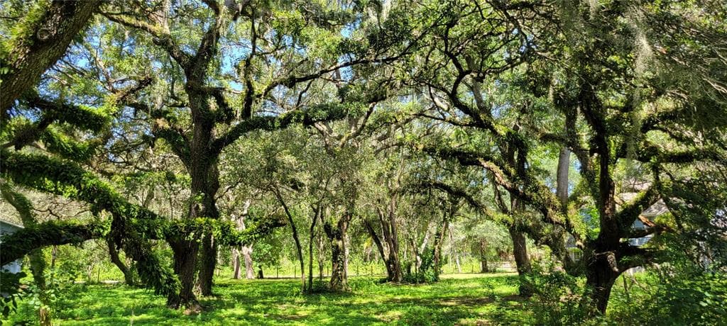 LUCILLE DRIVE HUDSON, FL 34669