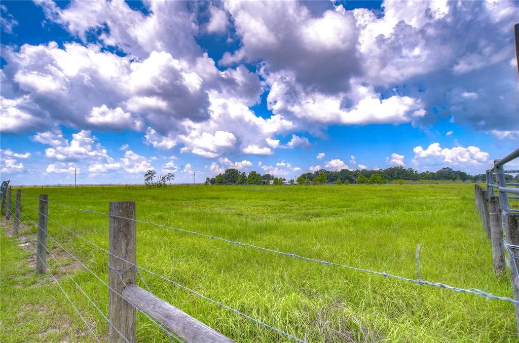 BLEDSOE LOOP LITHIA, FL 33547