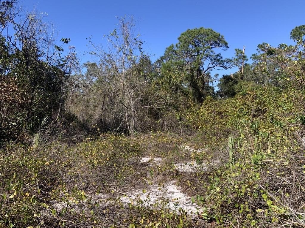 322 BOTTLEBRUSH AVENUE LAKE PLACID, FL 33852