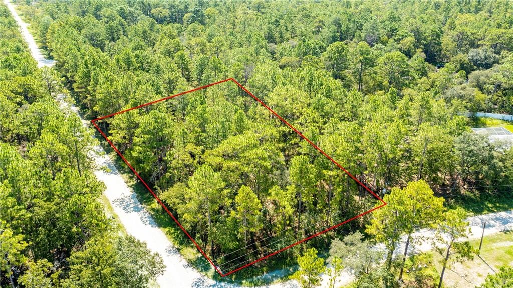 11156 YELLOW TAIL AVE WEEKI WACHEE, FL 34614