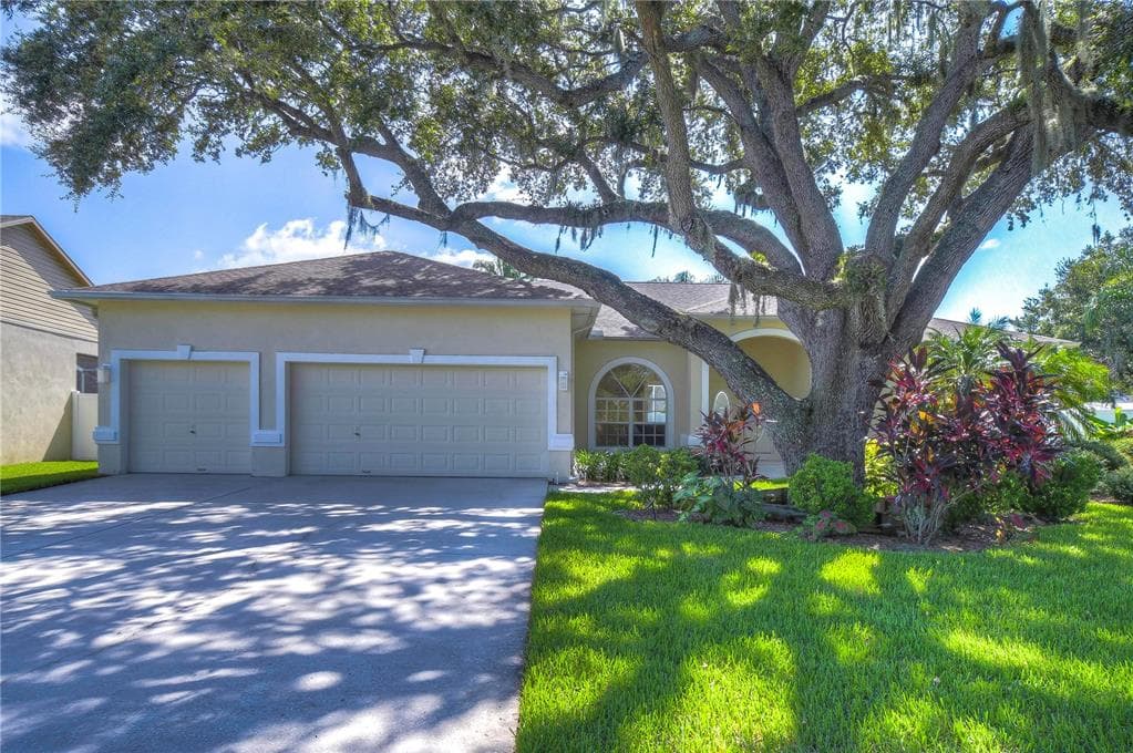 4405 BLANTYRE PLACE VALRICO, FL 33596