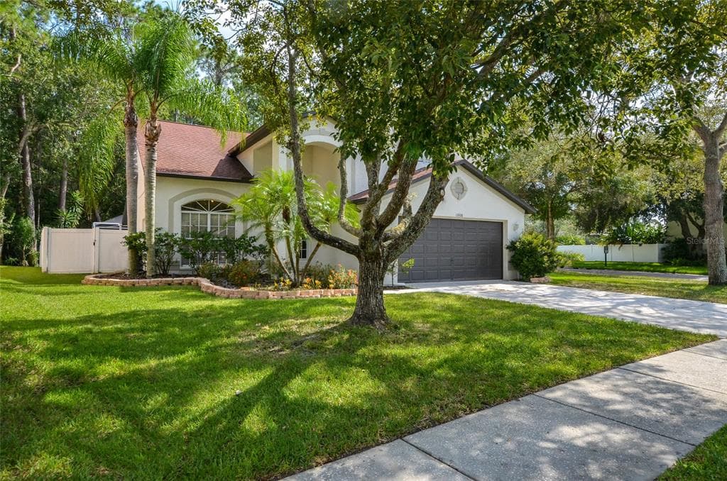 12808 ROYAL GEORGE AVENUE ODESSA, FL 33556
