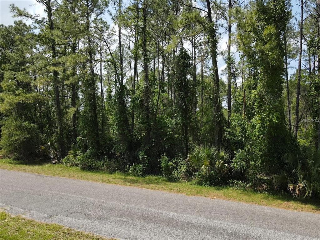 APRICOT AVENUE EUSTIS, FL 32736