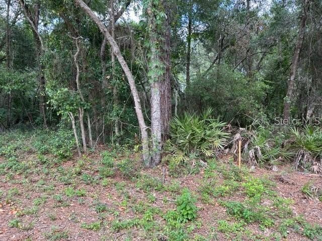 BILTMORE AVENUE WEBSTER, FL 33597