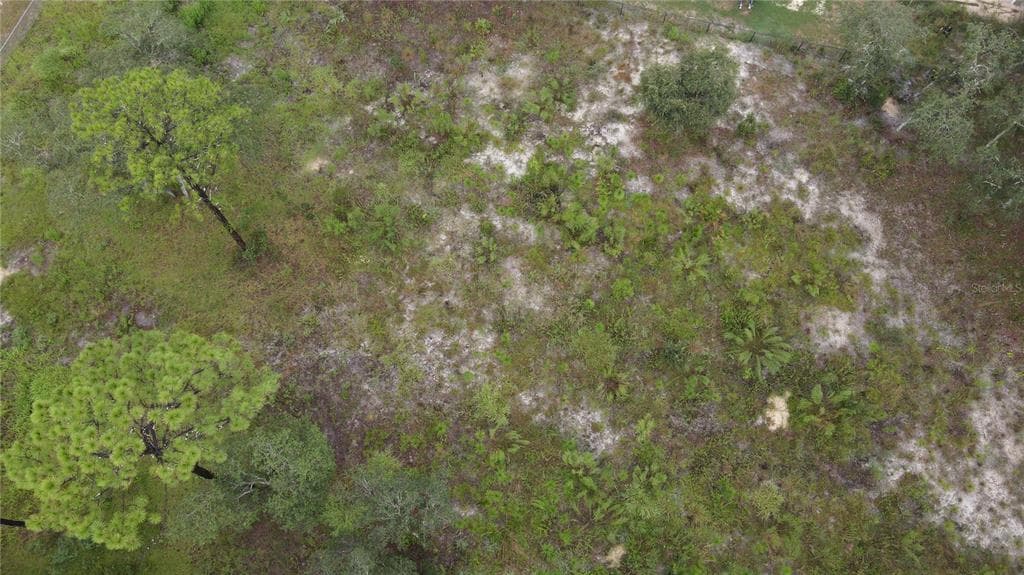 2430 S COLEMAN AVENUE HOMOSASSA, FL 34448