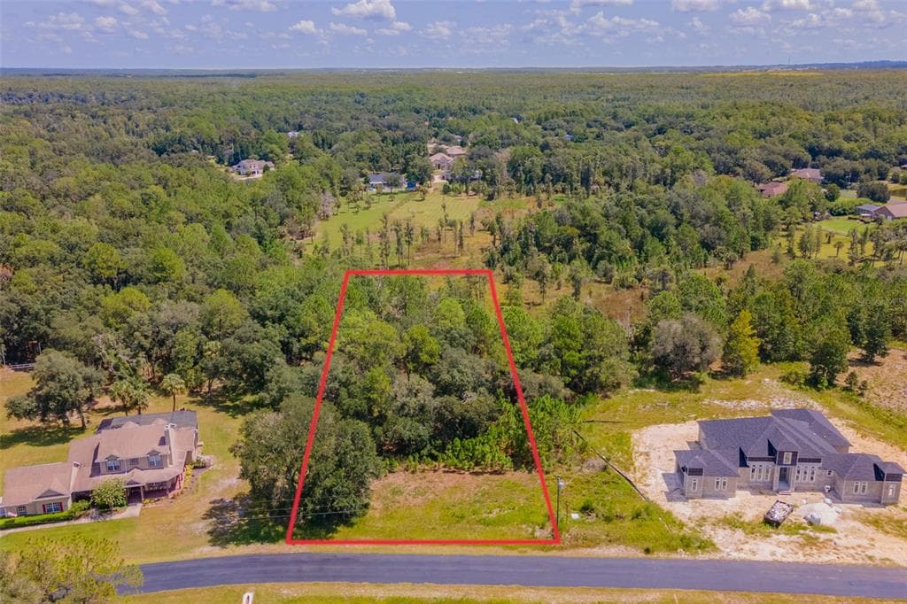 8547 SPRING FOREST LANE WESLEY CHAPEL, FL 33544
