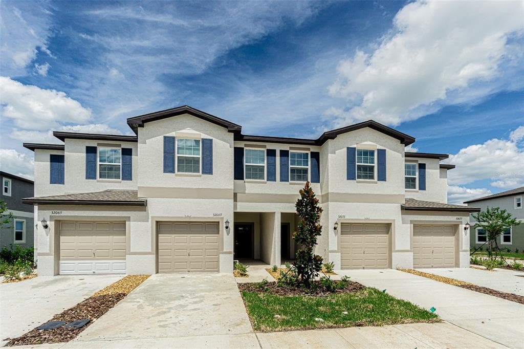 32065 POWDERPUFF MIMOSA SAN ANTONIO, FL 33576