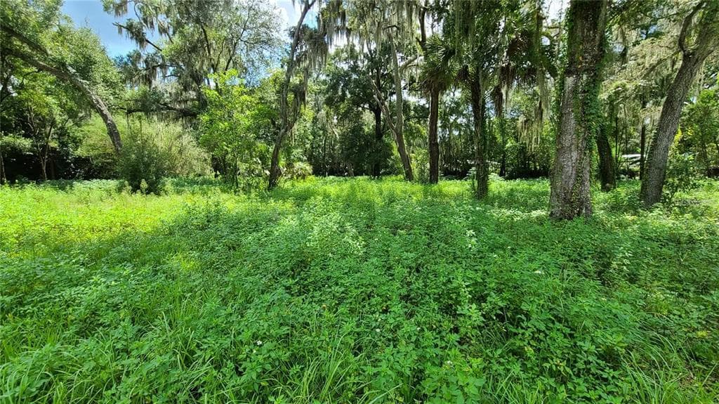 087148-0000 LITTLE ROAD VALRICO, FL 33596