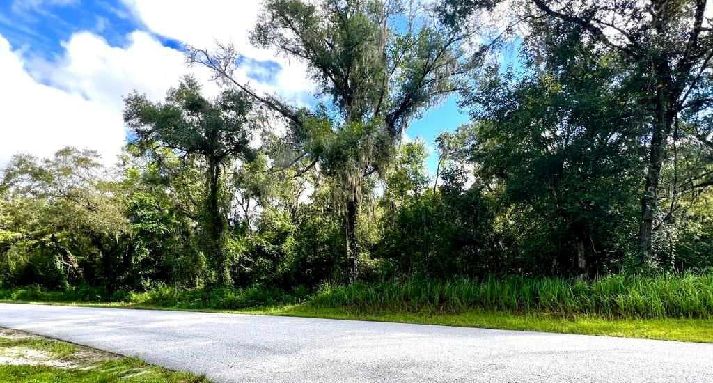 SHARON COURT RIDGE MANOR, FL 33523