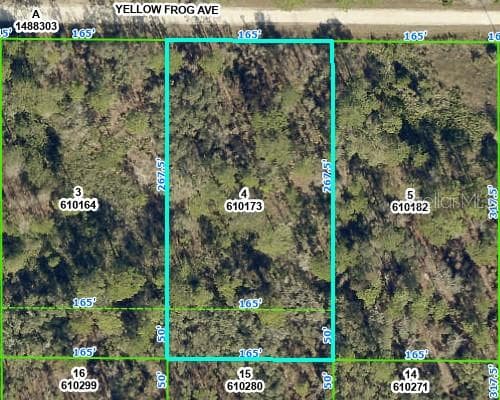 10154 YELLOW FROG AVENUE WEEKI WACHEE, FL 34614
