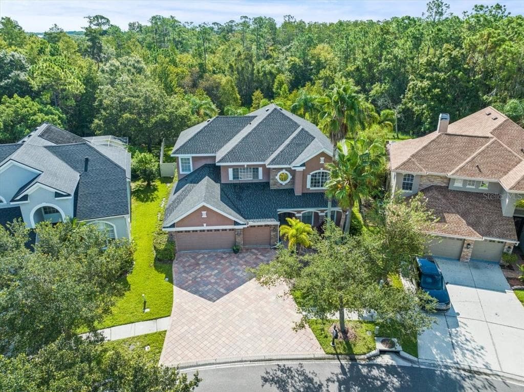 11668 RENAISSANCE VIEW COURT TAMPA, FL 33626