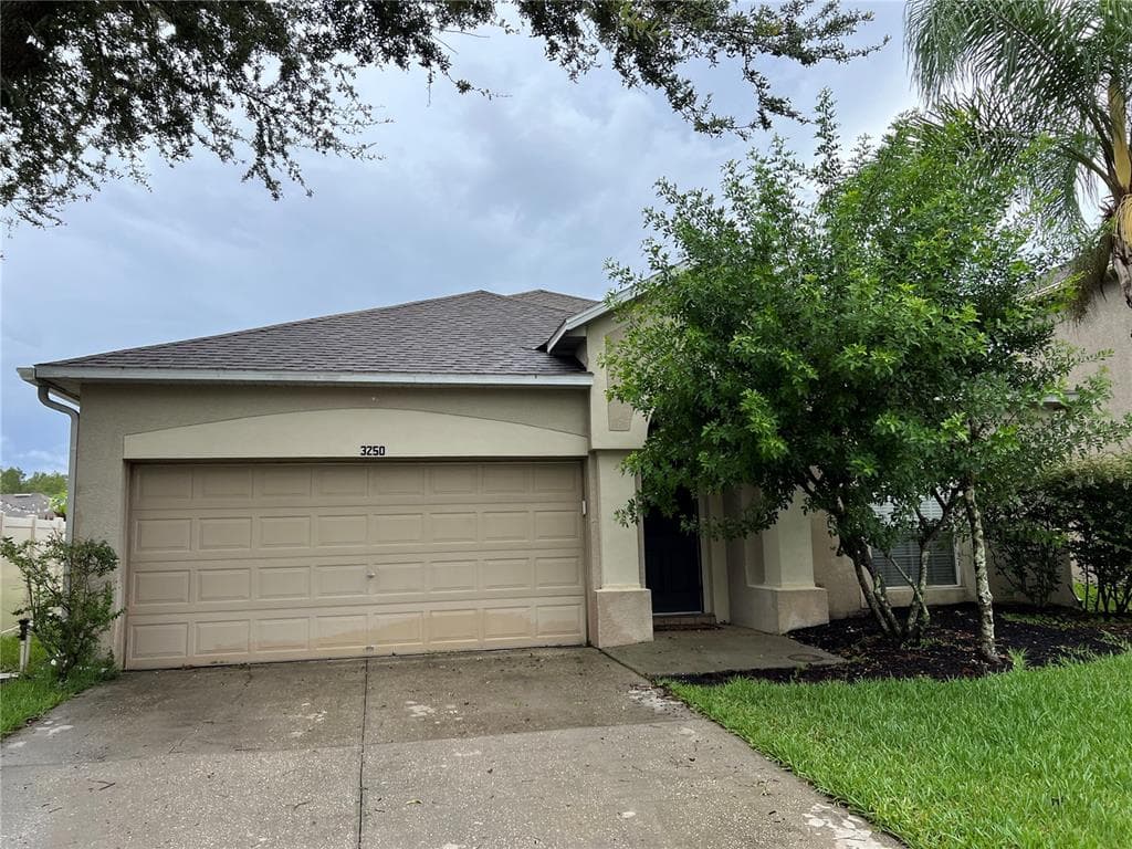 3250 DOWNAN POINT DRIVE LAND O LAKES, FL 34638