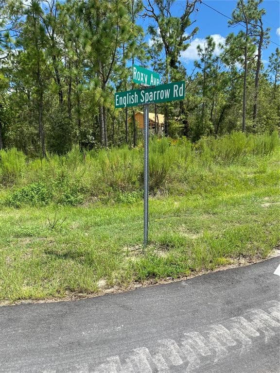 13181 ROXY AVENUE WEEKI WACHEE, FL 34614