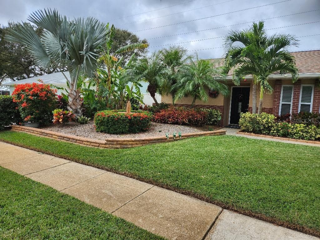 3248 BUCKHORN DRIVE CLEARWATER, FL 33761