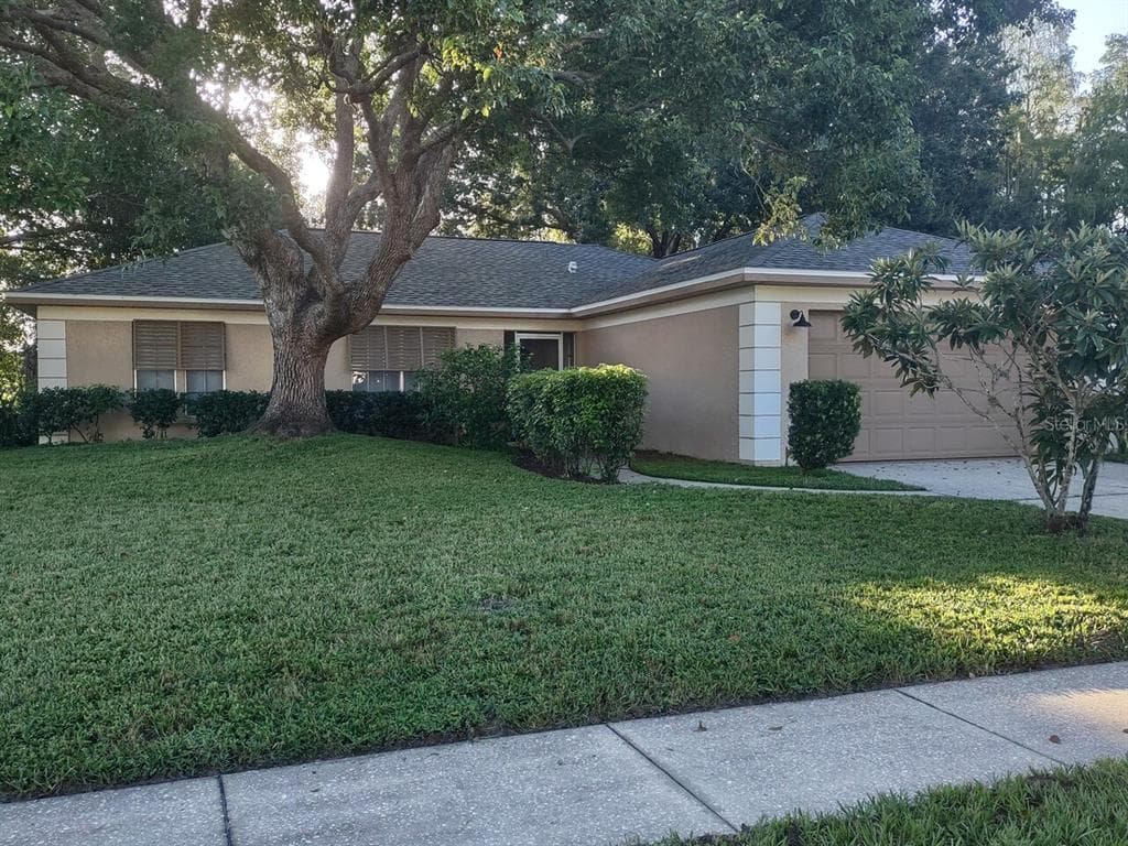 3602 PLAYER DRIVE NEW PORT RICHEY, FL 34655