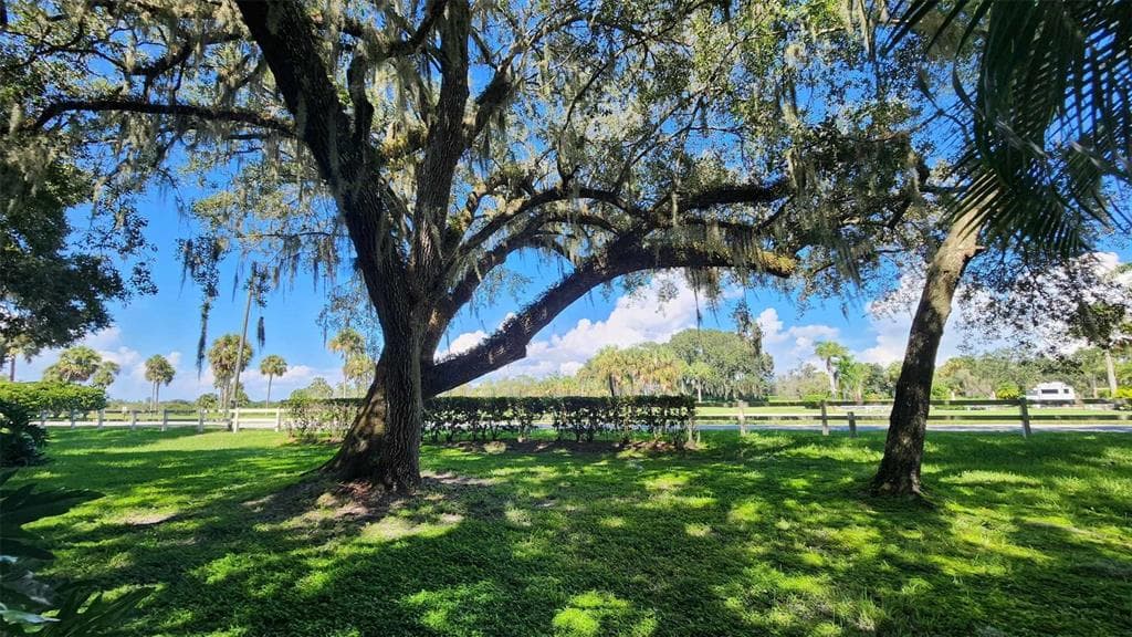 289 BEAR TRAIL LAKE WALES, FL 33898