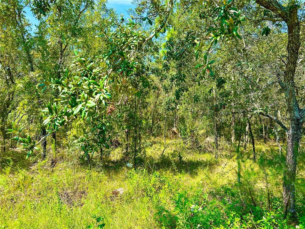 Lot 18 LIMPKIN ROAD BROOKSVILLE, FL 34614